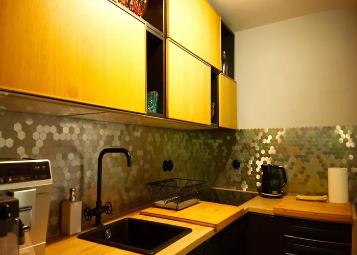 Semi-detached House Directly On The Lake, Stare Czaple